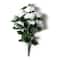 Gerbe de roses blanches d’Ashland
